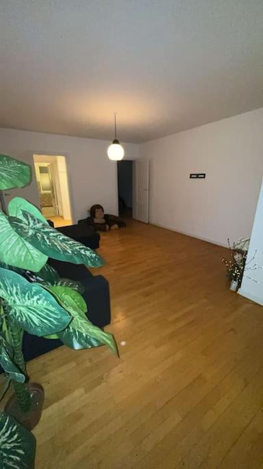 Pretty For 6 Guests Appartement *